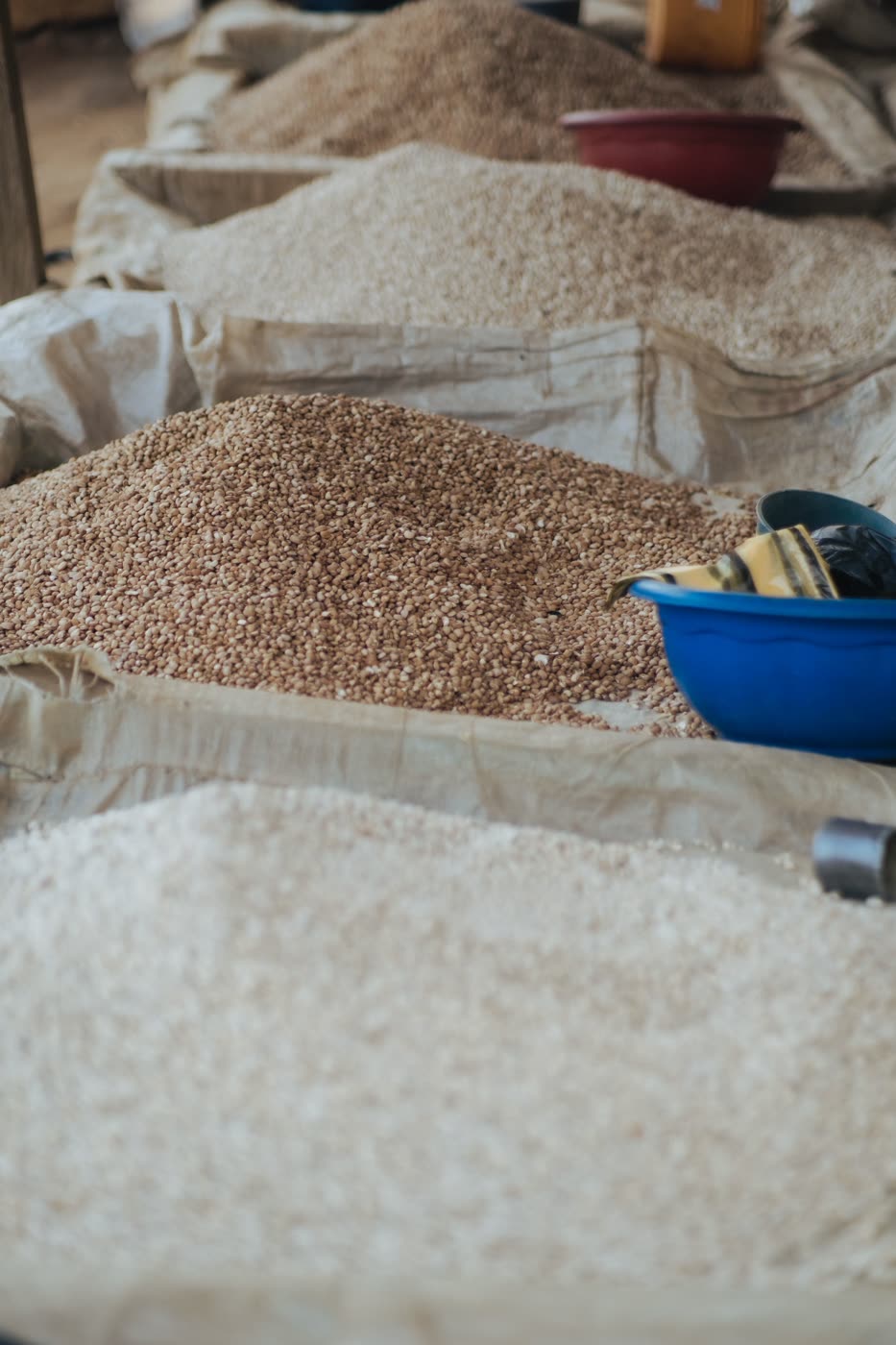 Sacs de céréales et de graines au marché